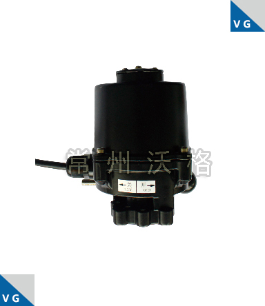 VG-004