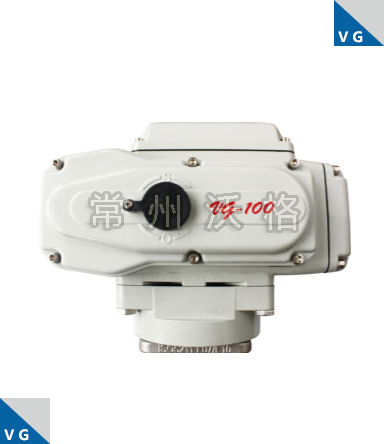 VG-100